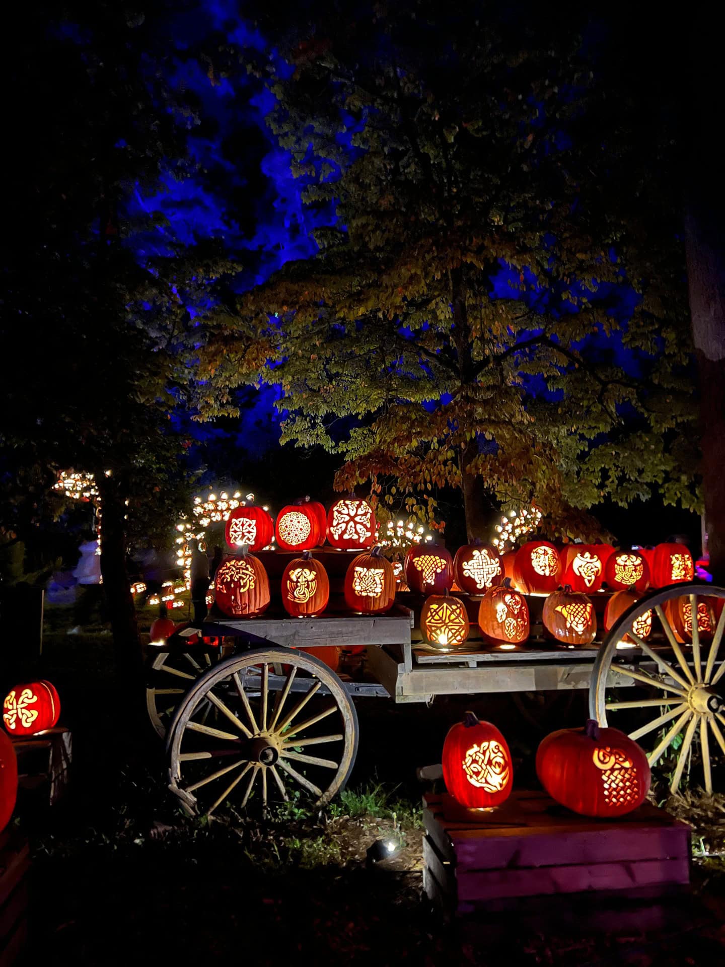 A wooden wagon from one of the best pumpkin patches displays glowing, intricately carved pumpkins at night beneath trees and a deep blue sky.