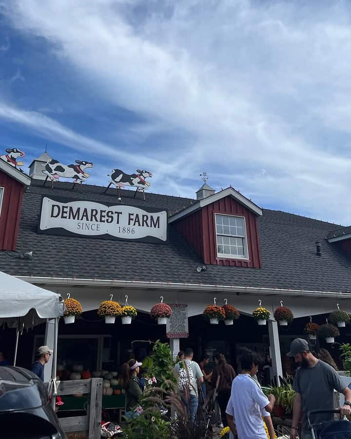 People gather outside Demarest Farm, known as one of the best pumpkin patches, under a partly cloudy sky, with cow decorations on the roof.