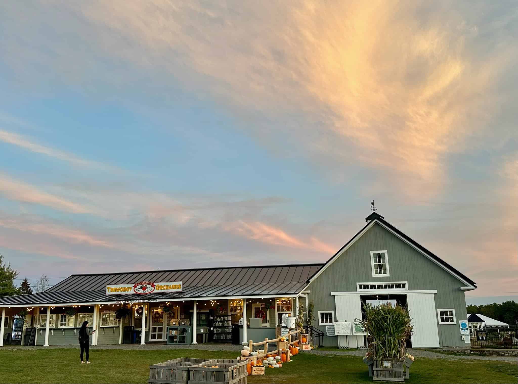 A barn-style farm store at sunset, with pumpkins and a person standing outside under a colorful sky—one of the best pumpkin patches for an autumn evening stroll.