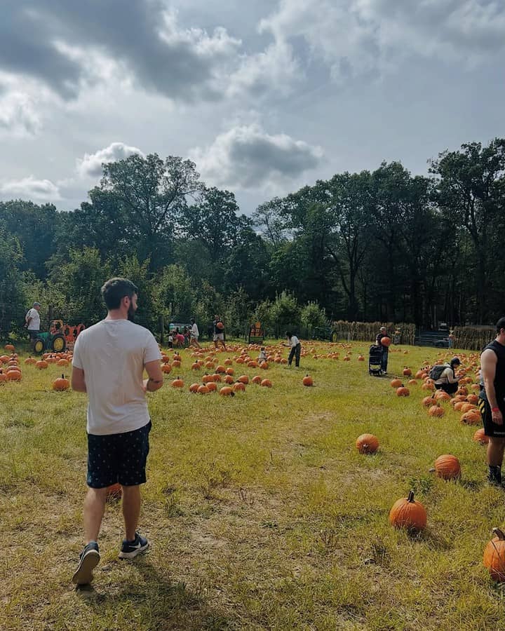 People walk through one of the best pumpkin patches on a cloudy day, surrounded by pumpkins and trees in the background.