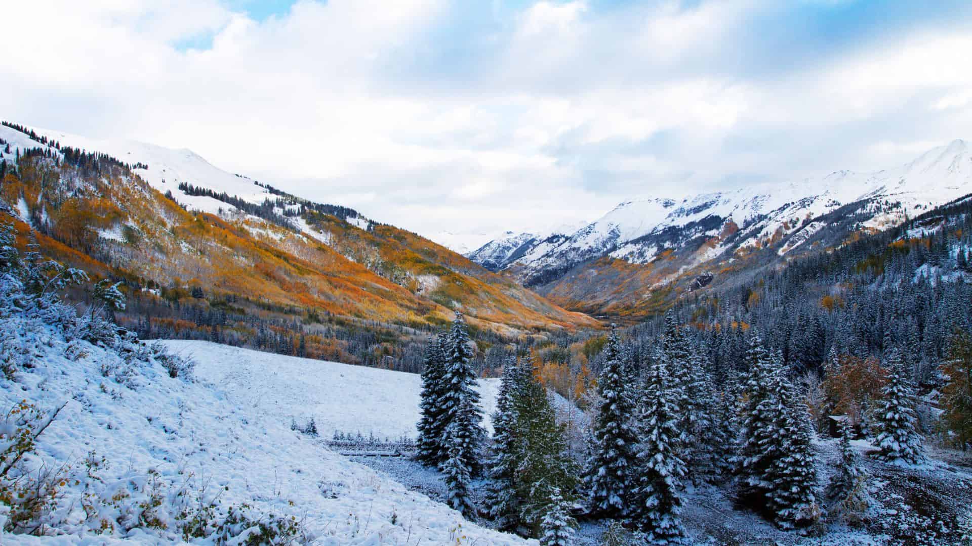 Snow-covered trees and mountains with patches of autumn foliage under a partly cloudy sky.