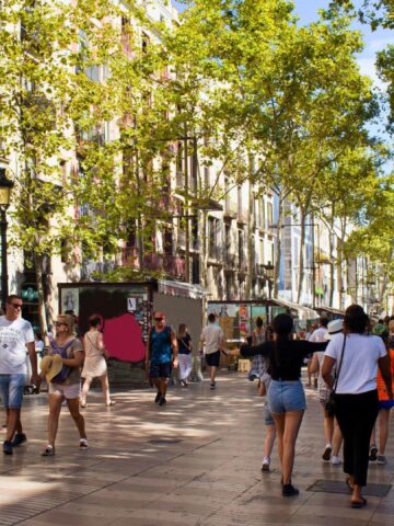 People walk along a sunny, tree-lined street with shops and bicycles in an urban setting.