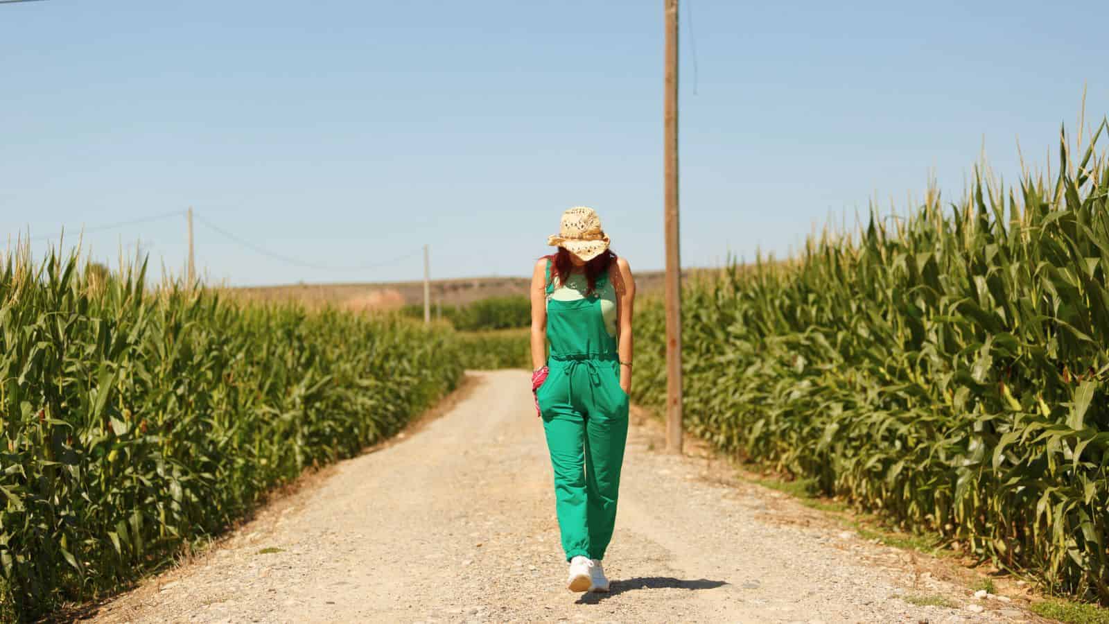 Woman in a green jumpsuit and hat walks down a dirt road between tall cornfields under a clear sky.