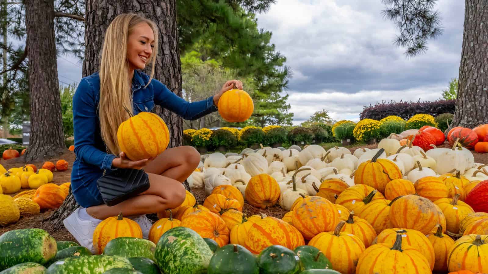 A woman kneels among pumpkins outdoors, holding two pumpkins and smiling on a cloudy day.