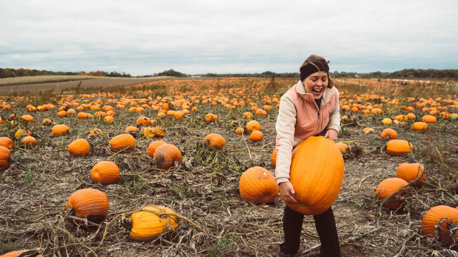 Woman smiles while lifting a large pumpkin in a field full of pumpkins on a cloudy day.
