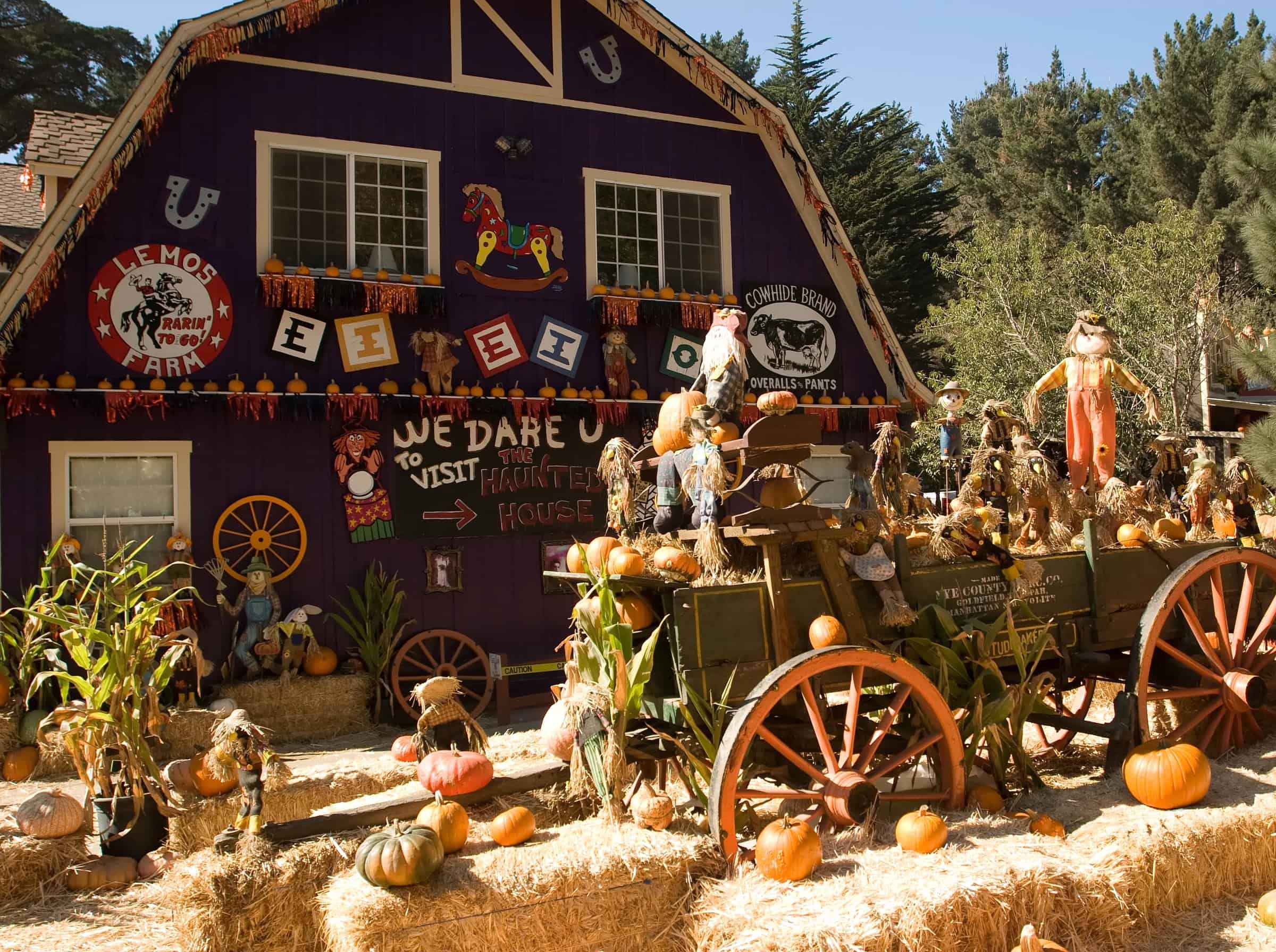 A festive farm display with pumpkins from the best pumpkin patches, hay bales, scarecrows, and a decorated purple barn in autumn.