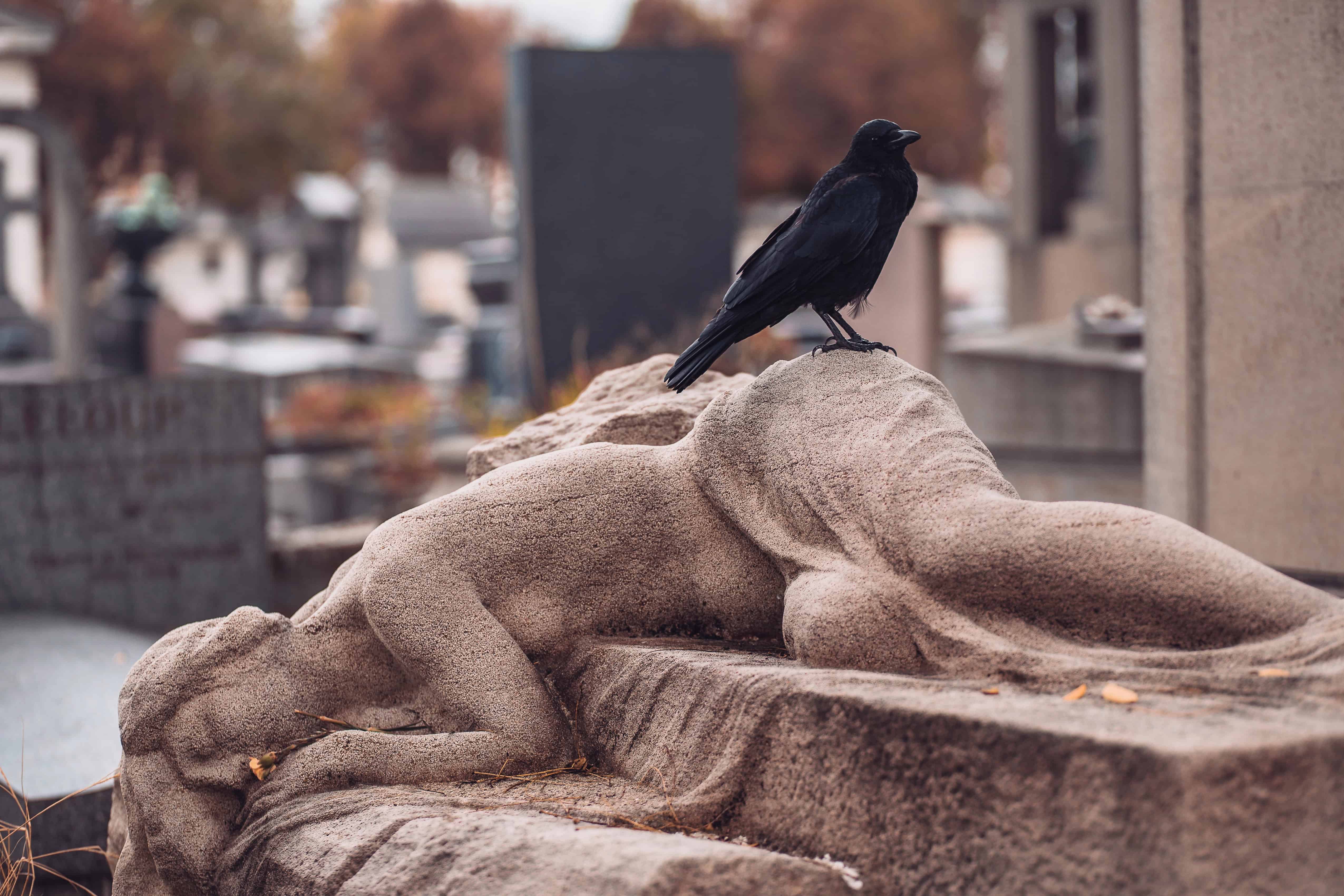 A black crow perches on a stone statue of a reclining, sorrowful figure in a cemetery, evoking the mysterious aura often found in haunted places in Europe.