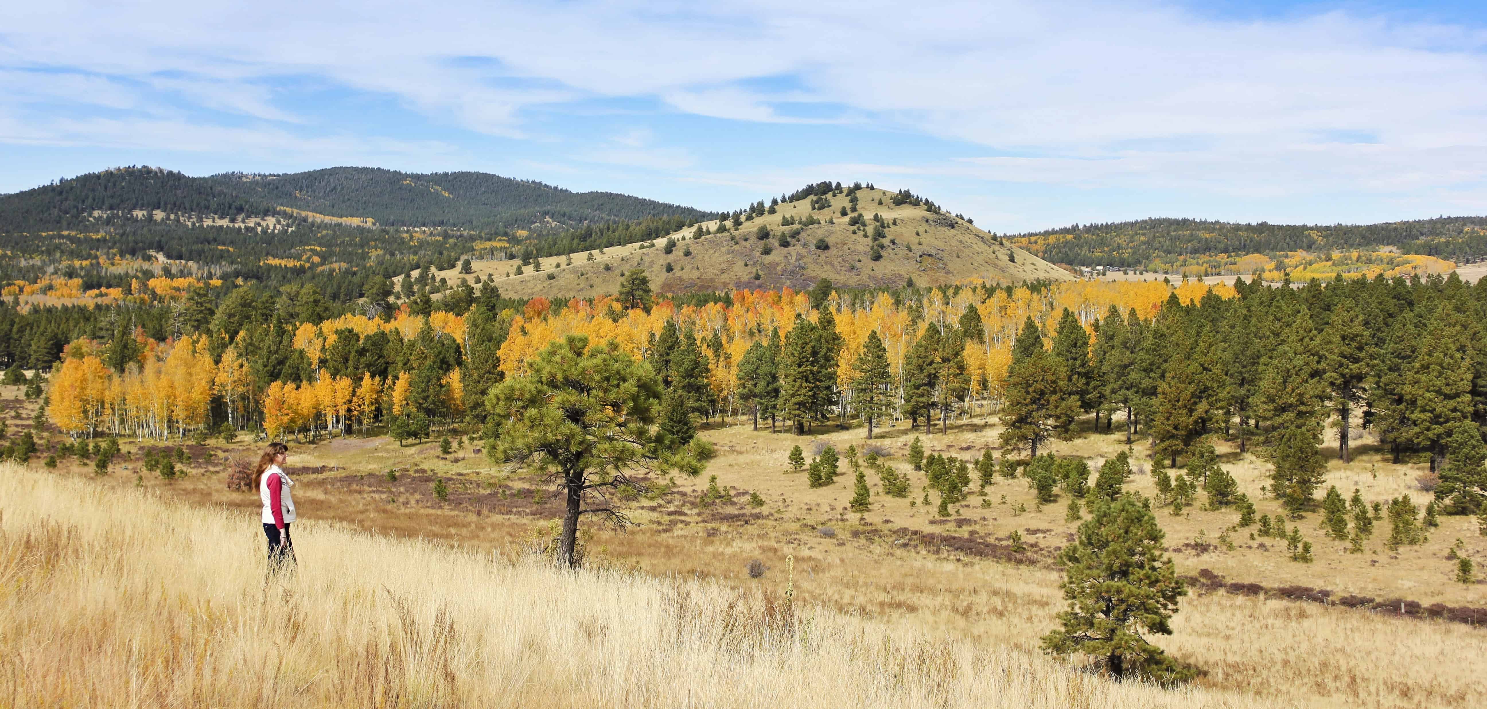 A person walks in a grassy field with autumn trees and rolling hills under a blue sky, surrounded by some of the best fall foliage in USA.