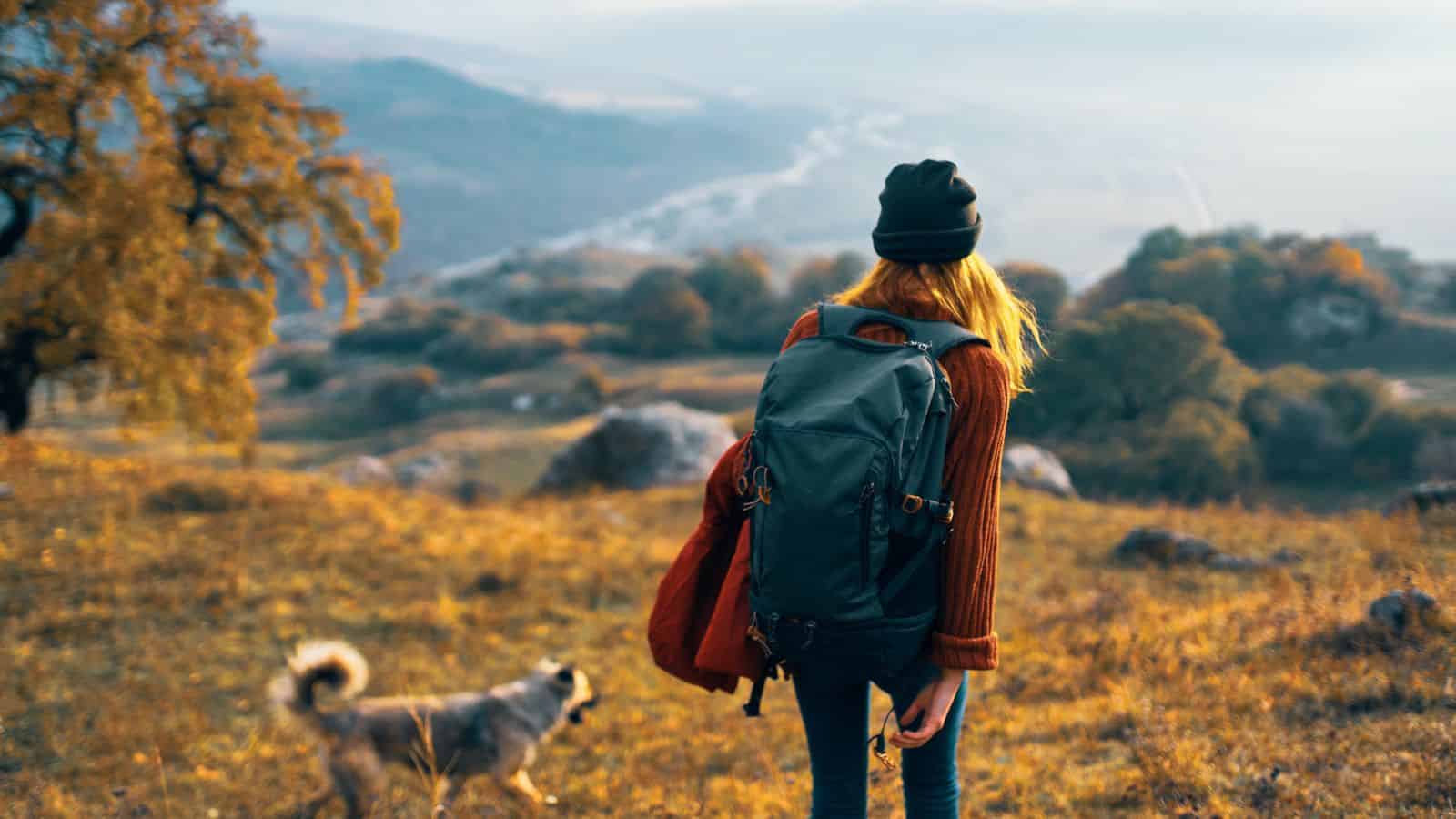 A person with a backpack and a dog hikes on a hill, overlooking a scenic autumn landscape.