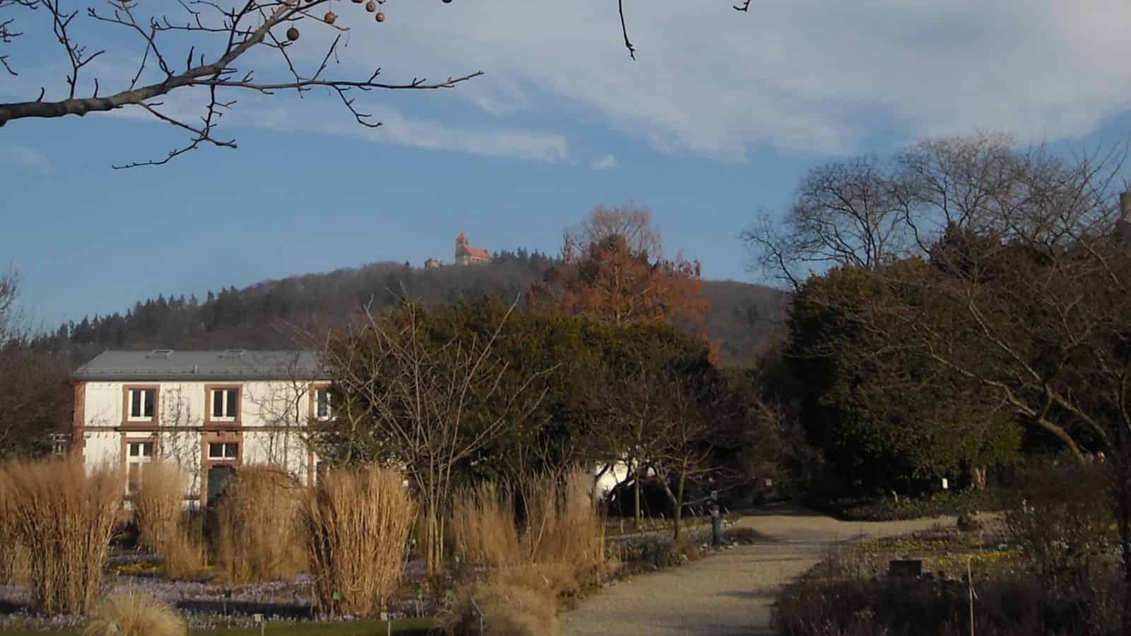 Pathway through a garden with tall grasses, trees in autumn hues, a building, and a hilltop structure in the background, evoking the charm of small towns.