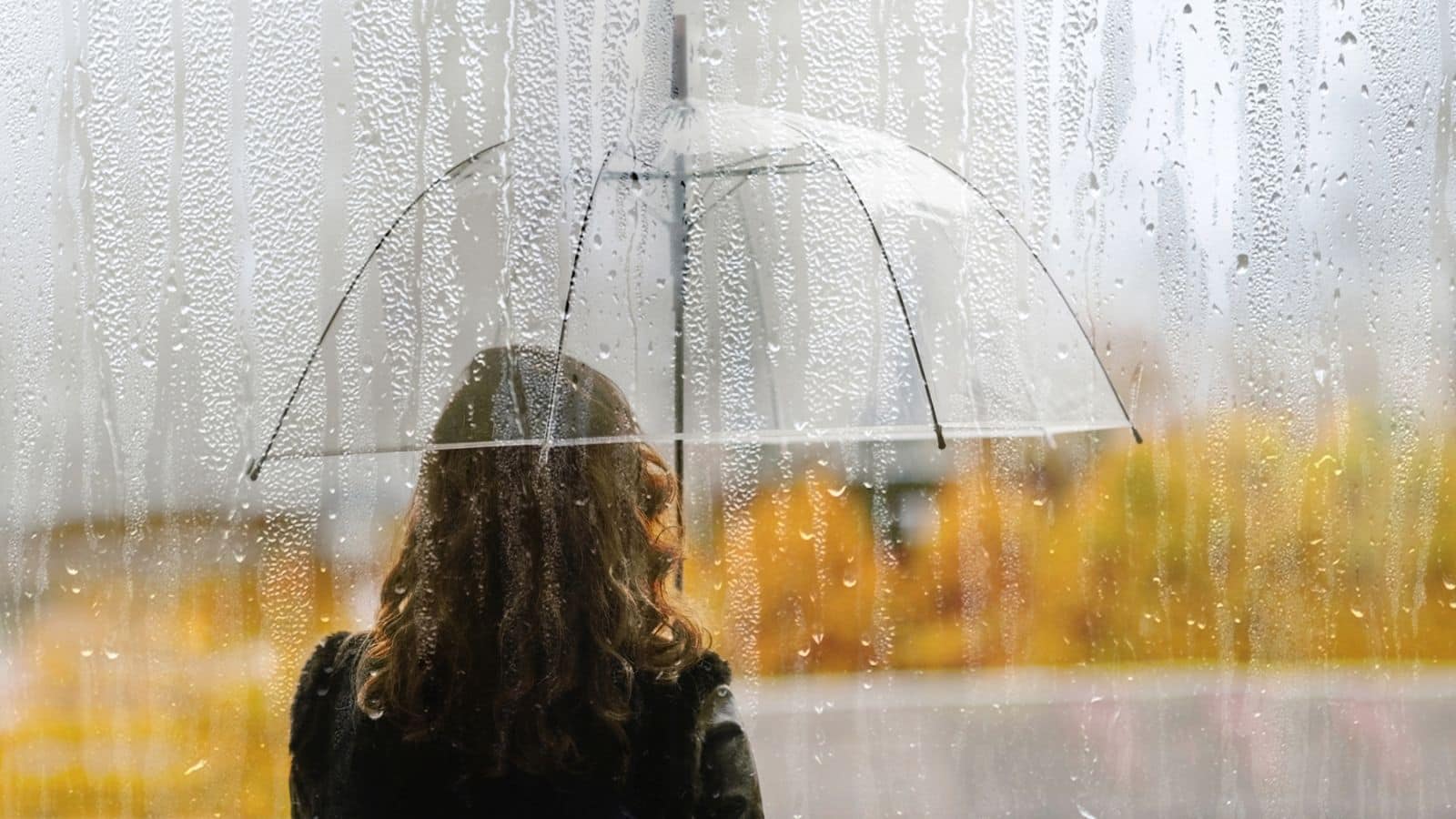 A person with an umbrella stands in front of a rain-covered window, with autumn colors in the background.
