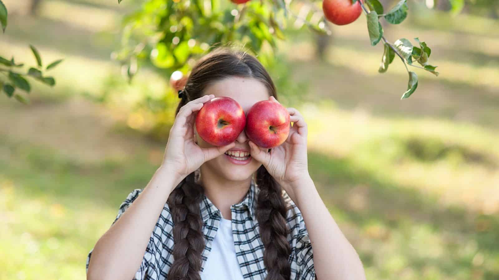 Girl with braids holding two apples over her eyes, smiling in an orchard with apples on the tree.