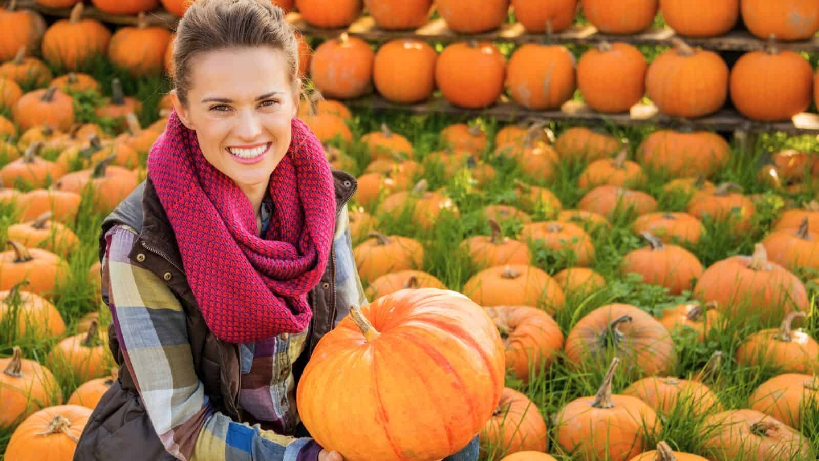 Smiling woman in a plaid shirt and scarf holding a pumpkin in a pumpkin patch surrounded by many pumpkins.