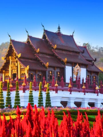 Traditional Thai pavilion with ornate roof, surrounded by red flowers and greenery, set against a blue sky.