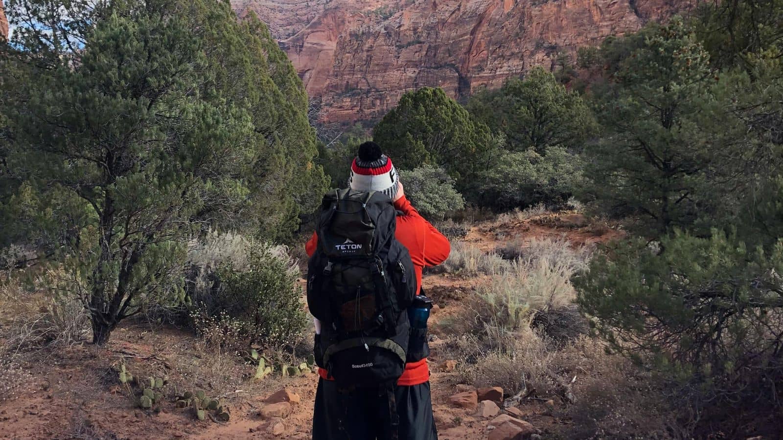 Person wearing a backpack and beanie stands on a rocky trail, facing red canyon cliffs and pine trees.