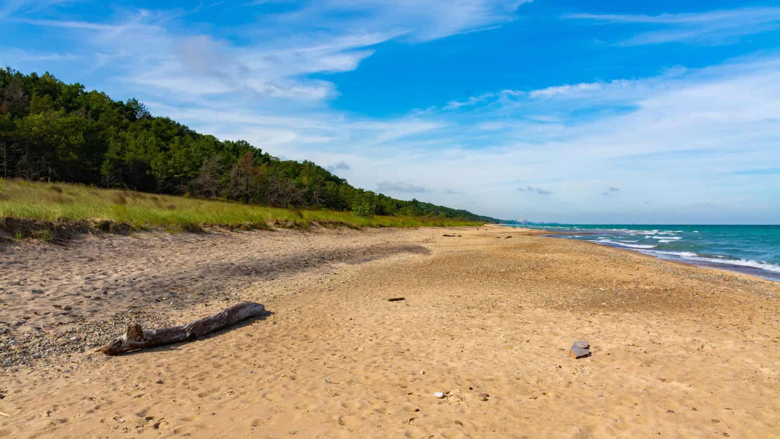 A sandy beach with driftwood, green trees on the left, and blue sky with clouds over the water.