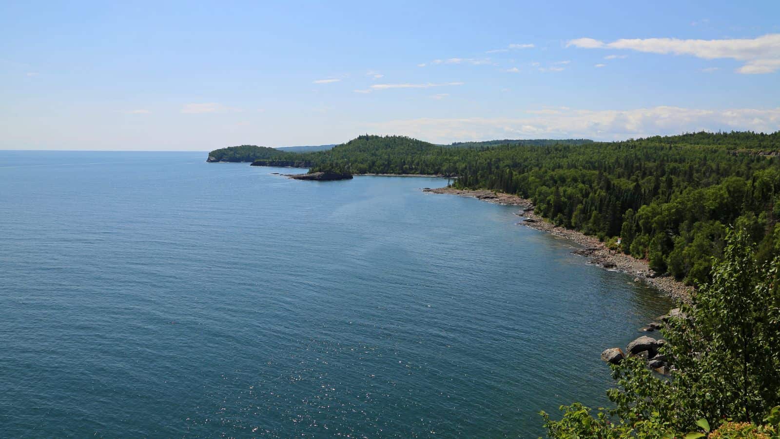 A coastline with dense green forest meets the calm blue water under a clear sky.