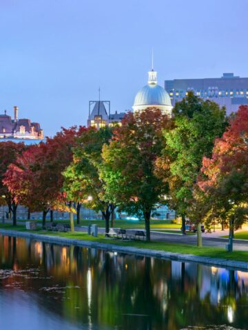 Colorful autumn trees line a waterfront in a city, with historic buildings and lights reflecting in the water.