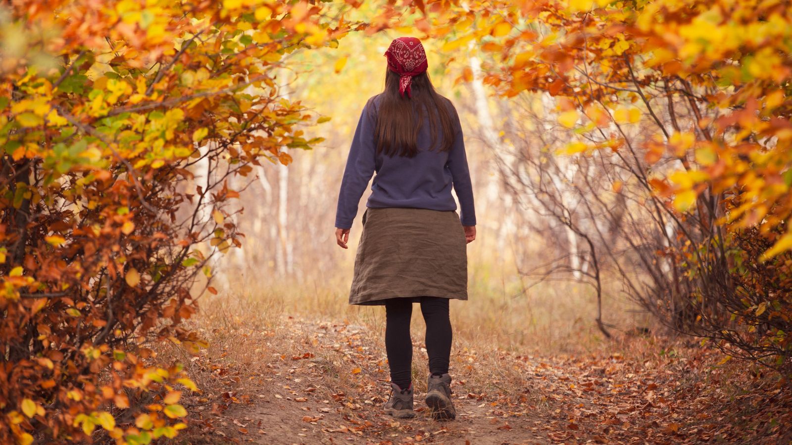 Person wearing a red scarf walks on a trail surrounded by autumn foliage and colorful leaves.