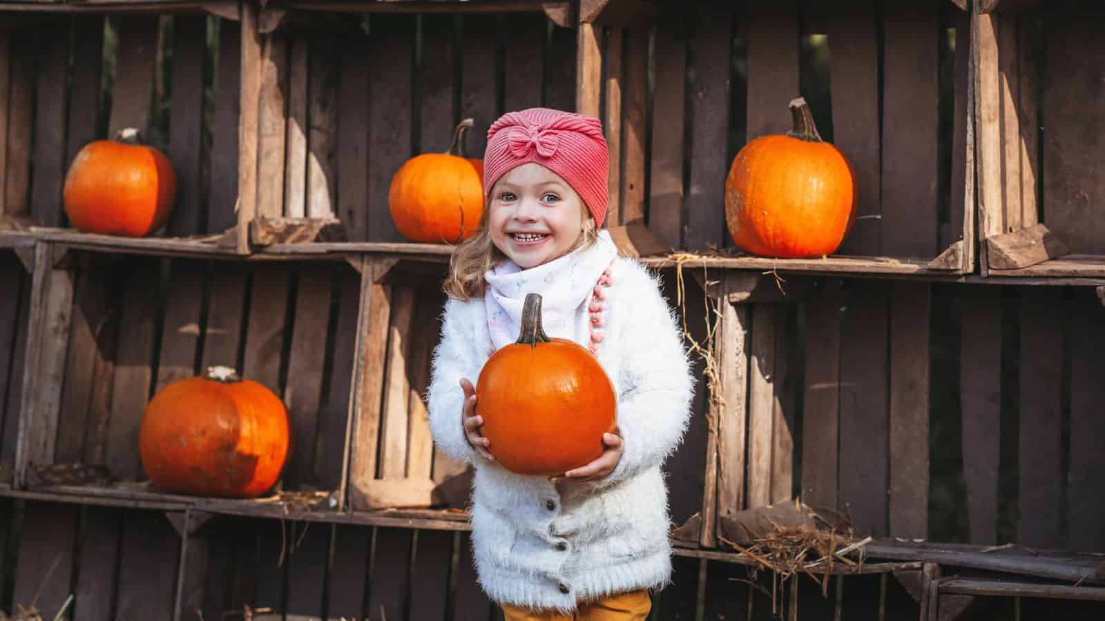 Smiling child in a pink hat holds a pumpkin, standing in front of wooden shelves with more pumpkins.