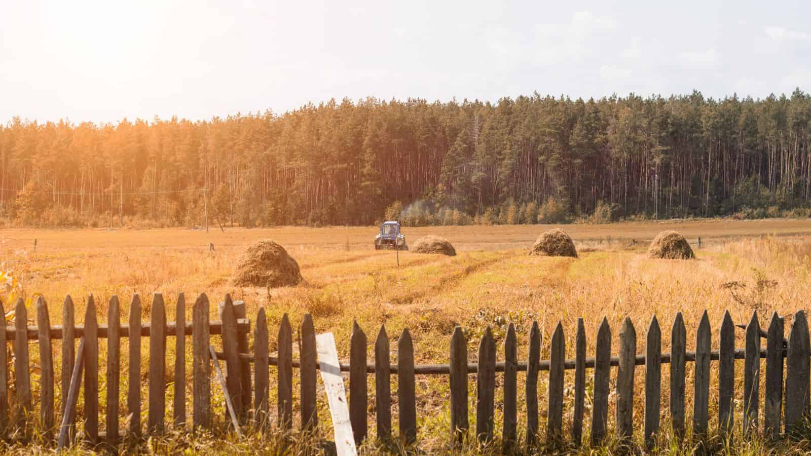 A rustic wooden fence overlooks haystacks, a tractor, and a field bordered by forest under a sunny sky.