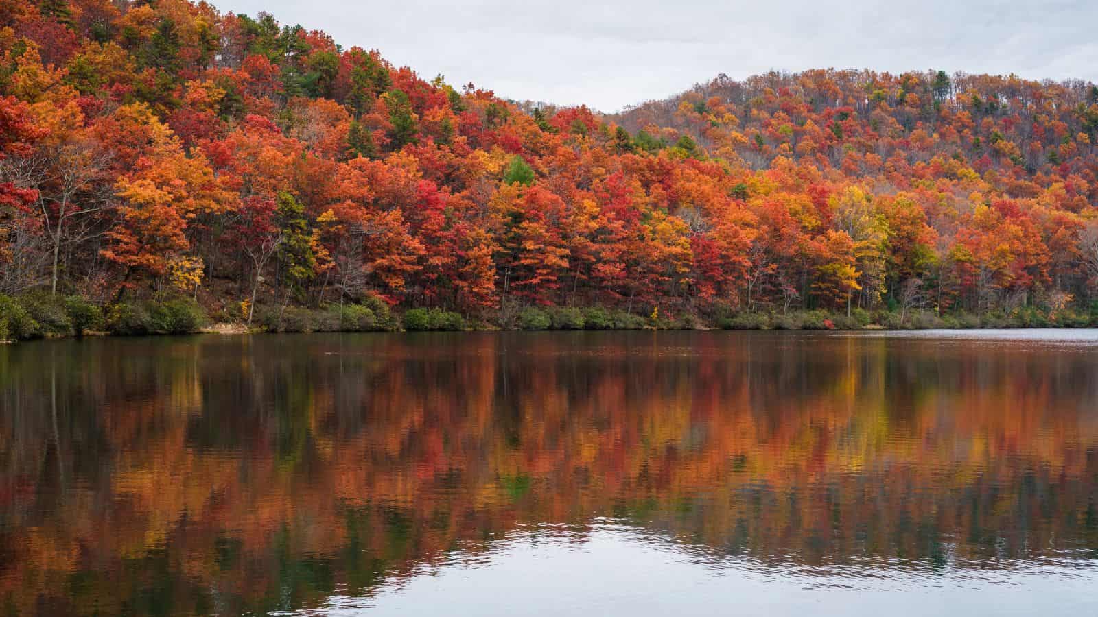 Colorful autumn trees reflect on a calm lake, with forested hills in the background under a cloudy sky.