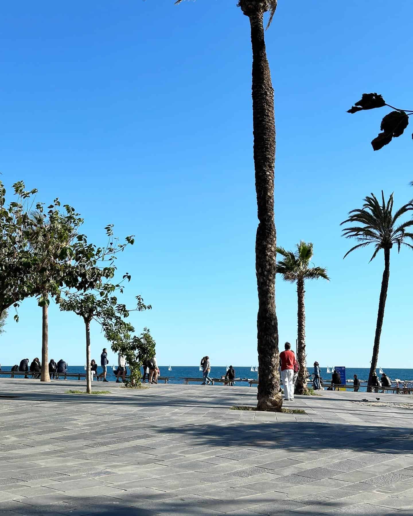 People walking along a palm-lined promenade by the sea in Barcelona, with clear blue skies and beachfront restaurants nearby.
