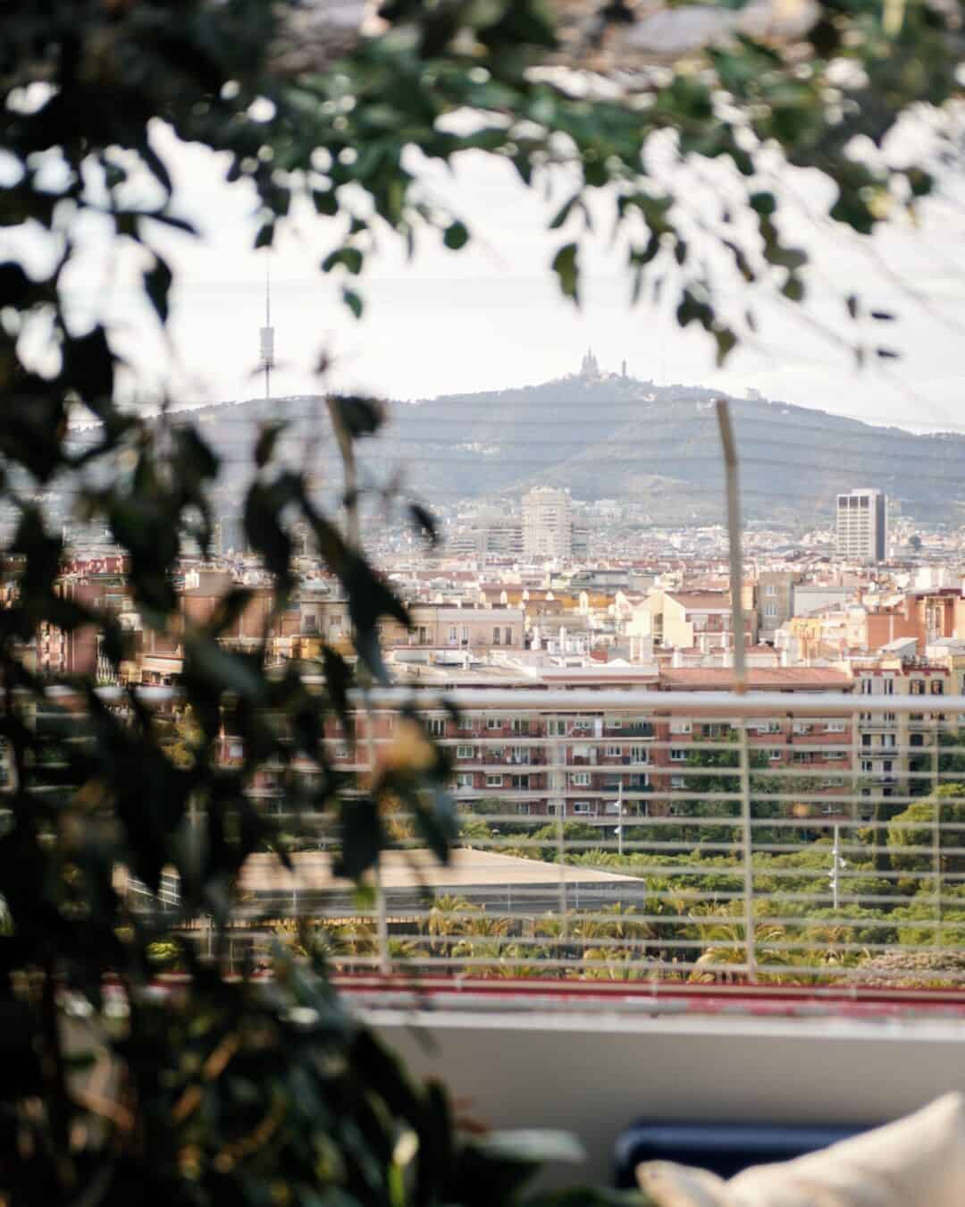 Cityscape view framed by leafy branches, with a hill and a distant tower in the background&mdash;just the setting you&rsquo;d expect from some of the best restaurants in Barcelona, where stunning vistas elevate every dining experience.