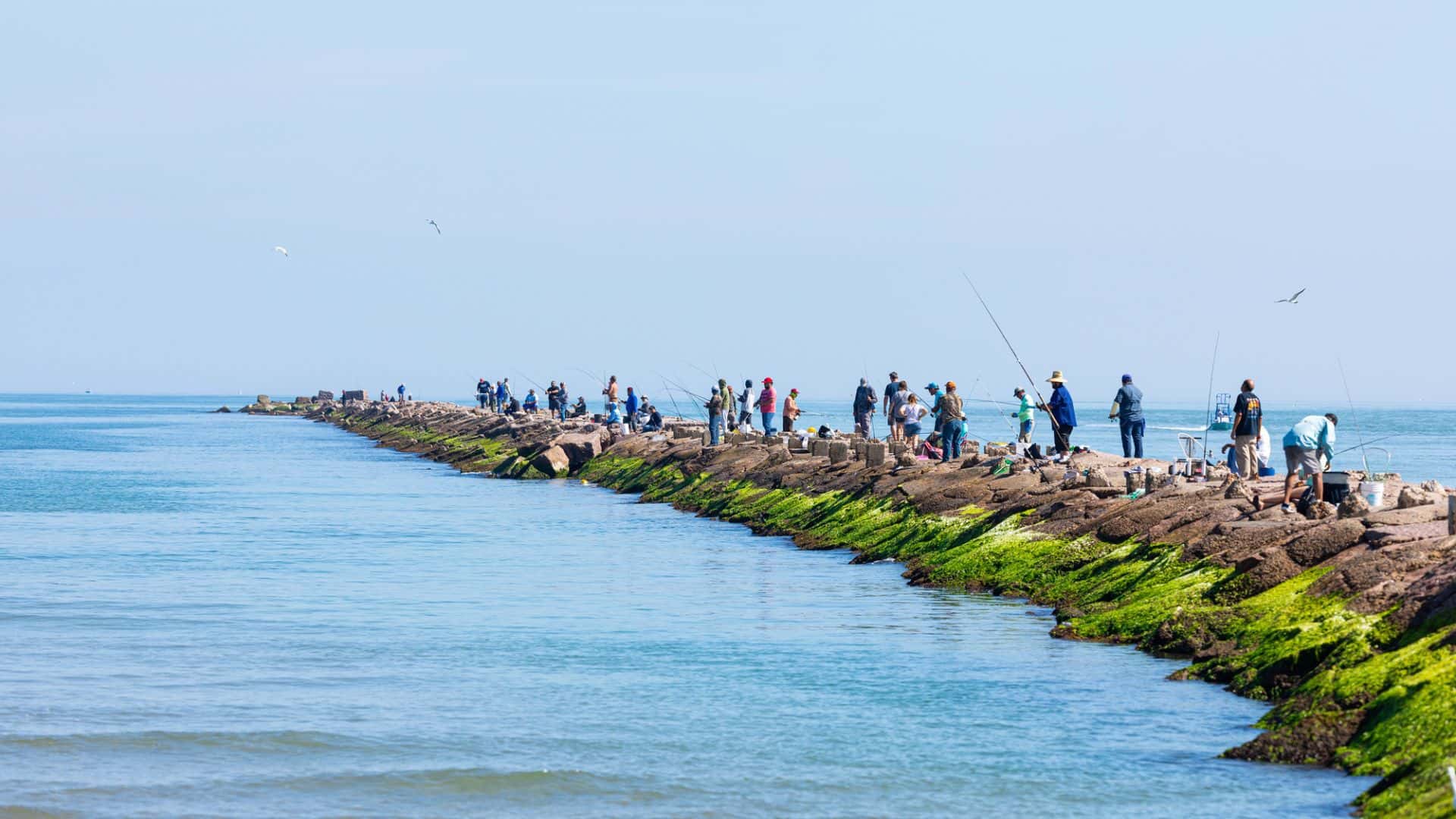 People fishing on a long, rocky pier covered in green algae, stretching out into the calm ocean.