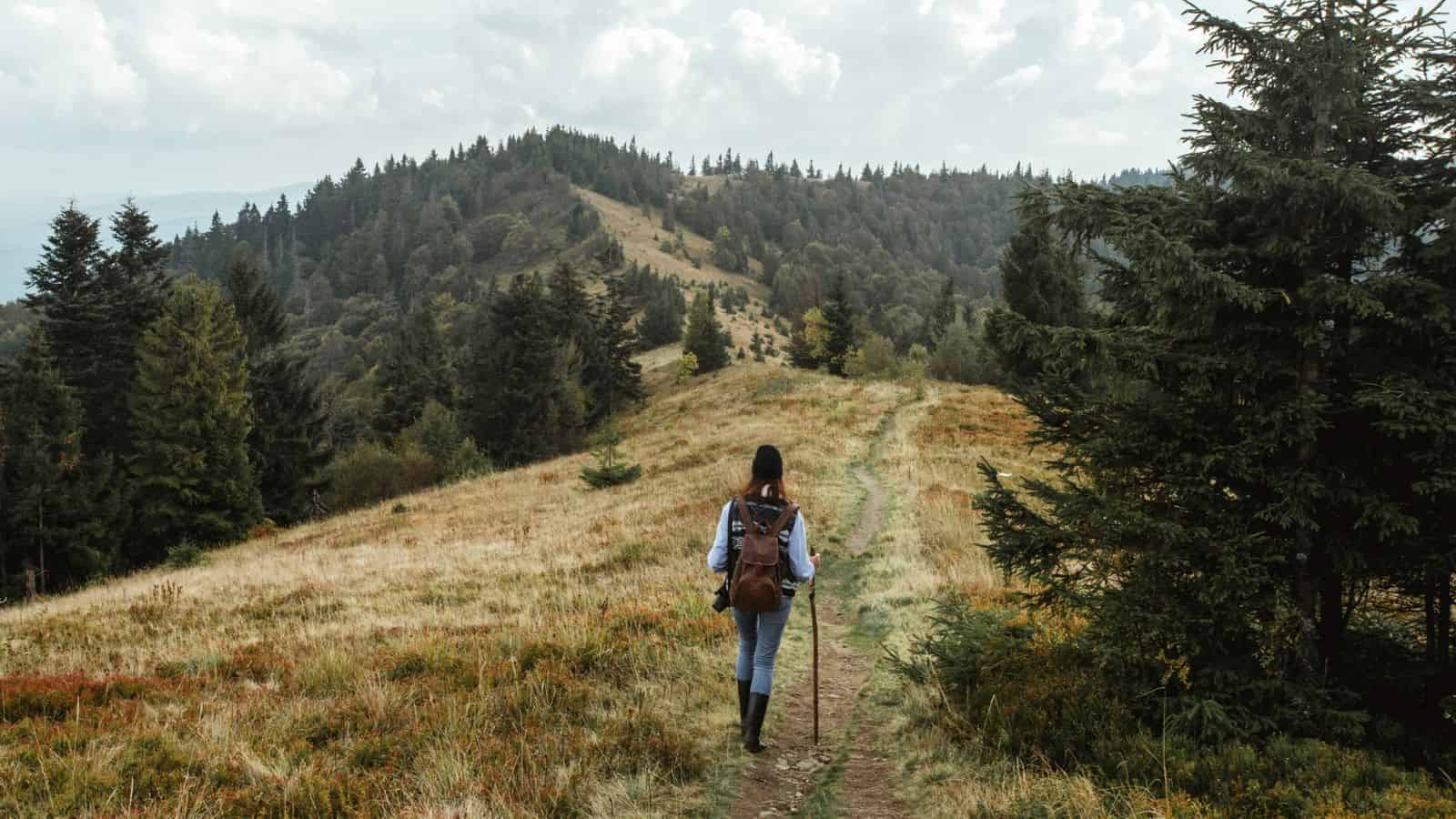 A person with a backpack walks along a grassy trail through a forested mountain landscape.