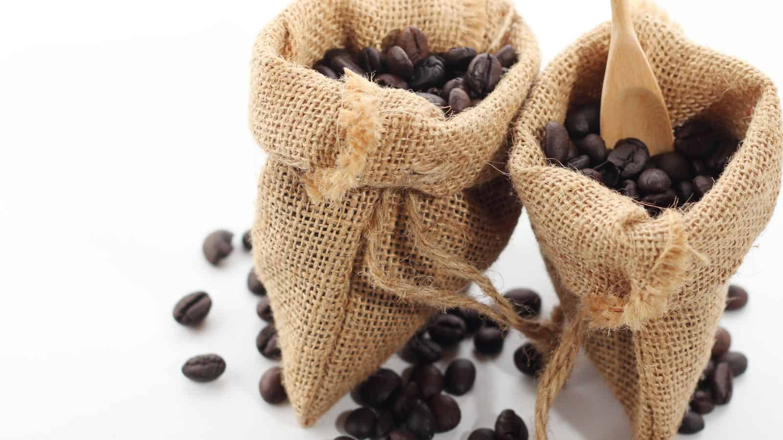 Two burlap sacks filled with coffee beans, with a wooden spoon in one, on a white background.