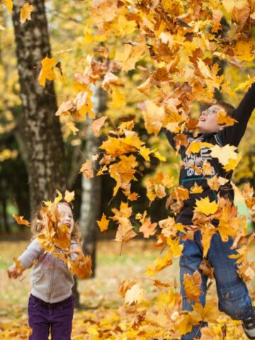 Two children joyfully play and jump in a pile of autumn leaves at a park, surrounded by trees showcasing some of the best fall foliage in USA.
