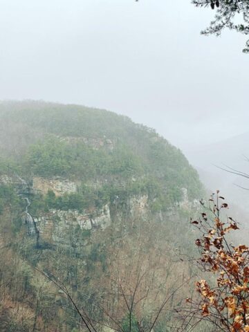 Misty cliffs covered in trees, with a small waterfall and autumn leaves in the foreground—one of the best mountain getaways for nature lovers seeking tranquility.