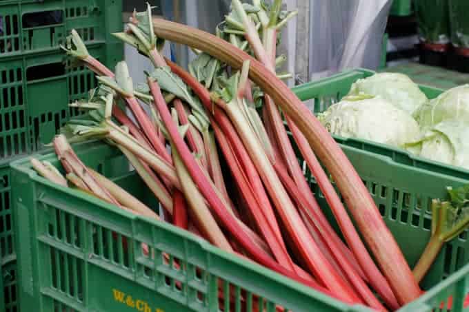 Green crate filled with long, red rhubarb stalks next to cabbages at a market or store.