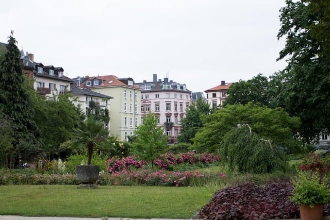 A city garden with blooming flowers, green trees, and colorful apartment buildings in the background.