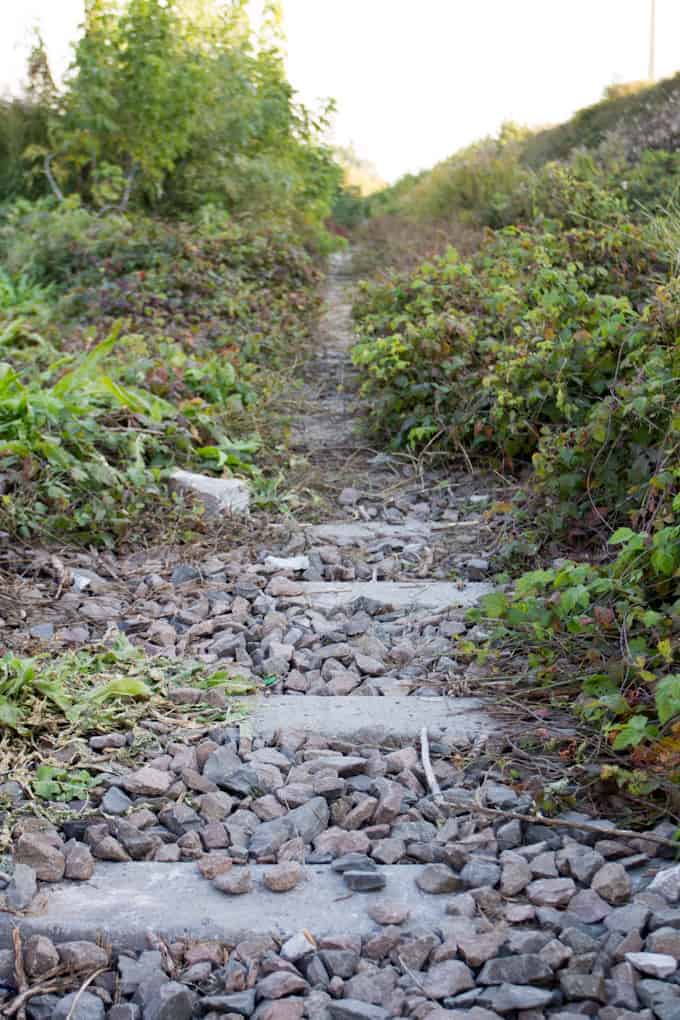 Rocky, overgrown path with scattered stones and greenery on both sides, leading into the distance—perfect for those visiting Poland and seeking hidden trails.