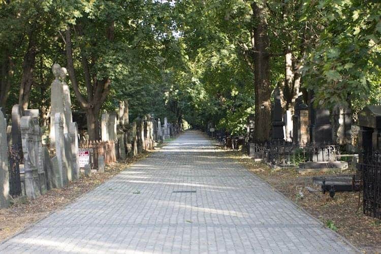 A paved path runs through an old cemetery in Poland, lined with trees and weathered gravestones on both sides—a peaceful spot worth exploring when visiting Poland.