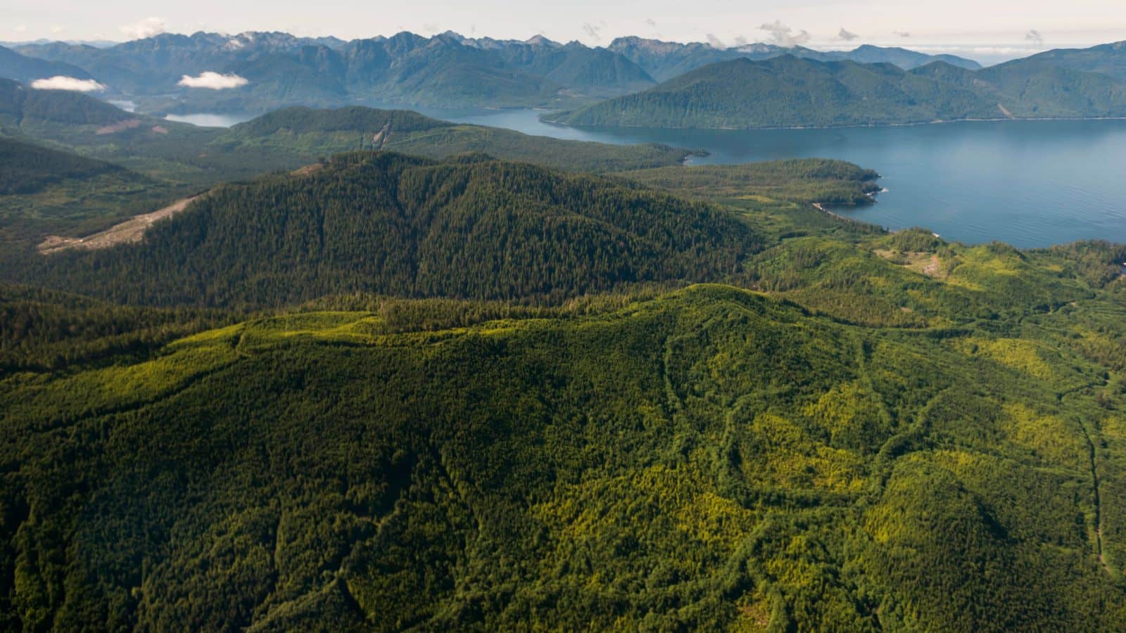 Aerial view of lush green forested hills beside a large body of water with mountains in the distance.