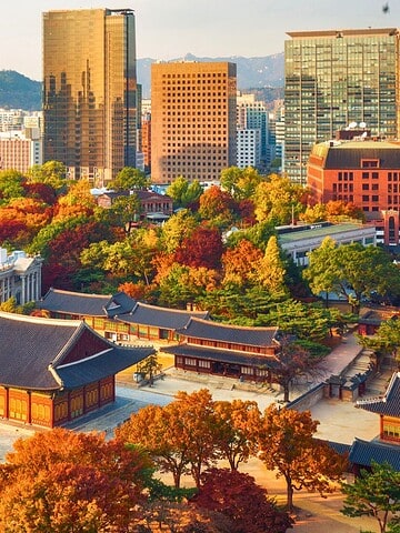Aerial view of Deoksugung Palace and colorful autumn trees with modern Seoul skyscrapers in the background.