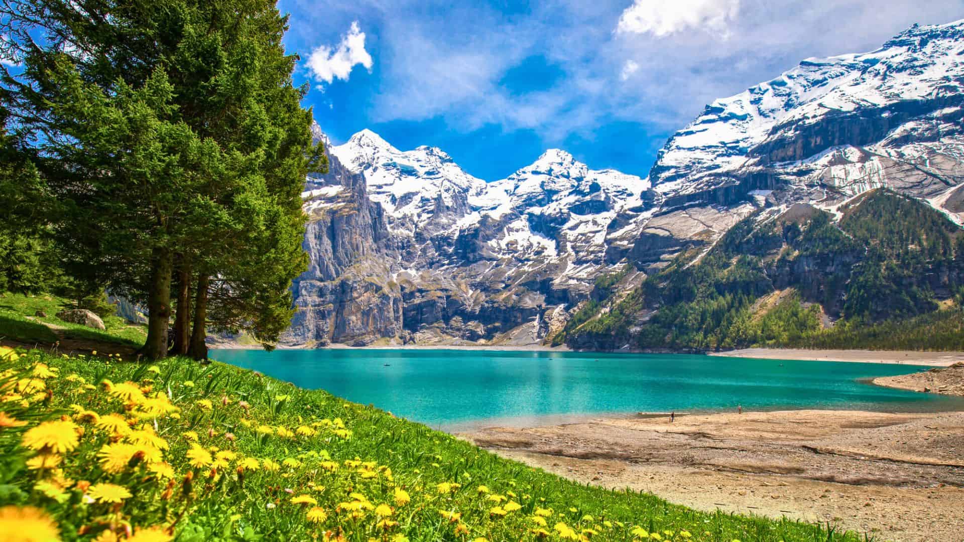 Snowy mountains, turquoise lake, yellow flowers, and trees under a bright blue sky with scattered clouds.
