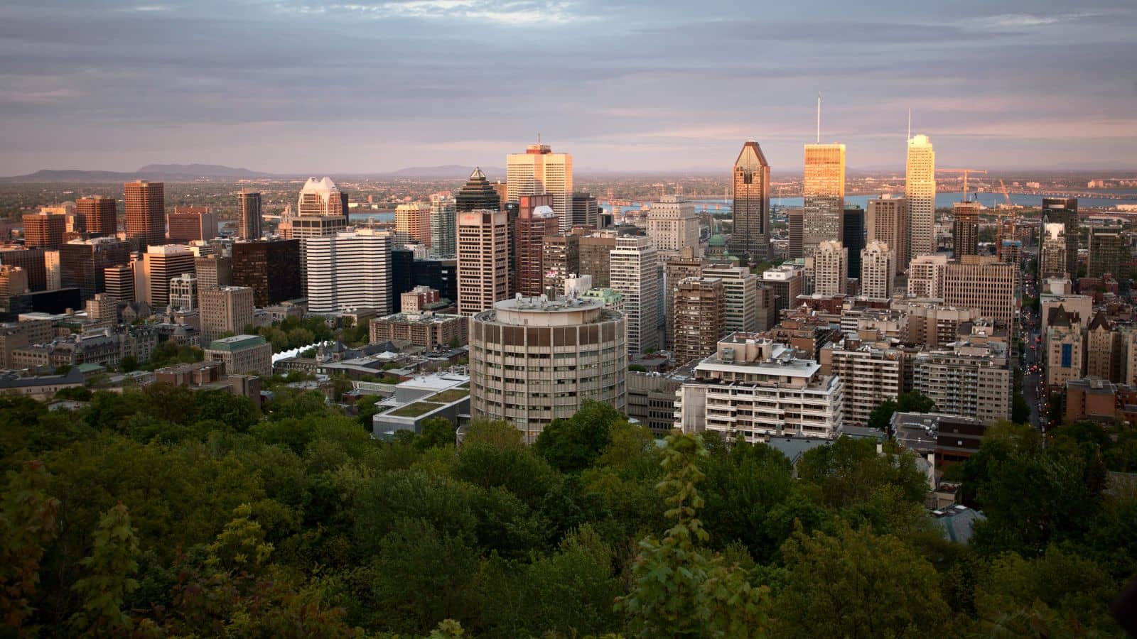 Montreal city skyline at sunset, with tall buildings and green trees in the foreground.