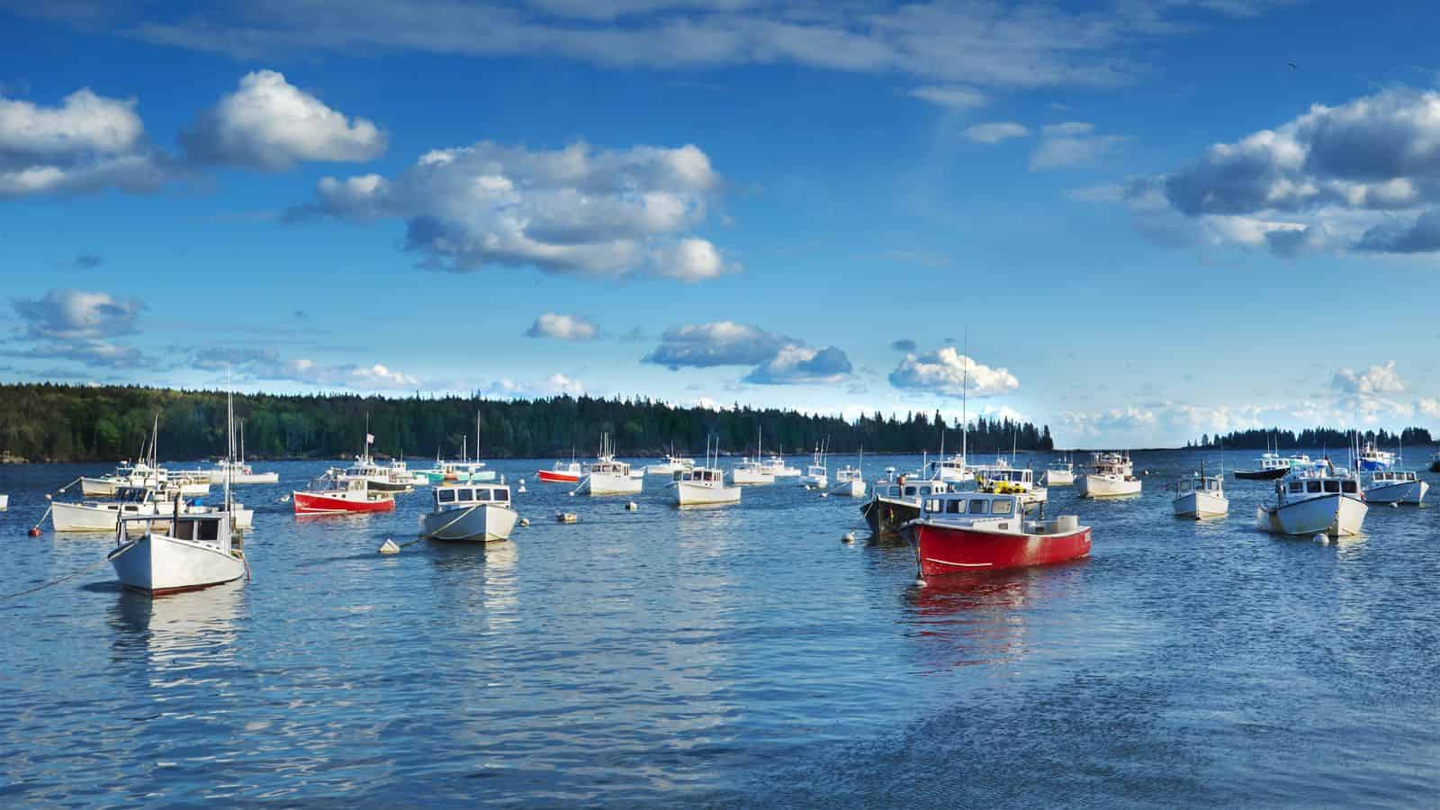Many boats, including a red one, float on a calm harbor beneath a blue sky with scattered clouds.