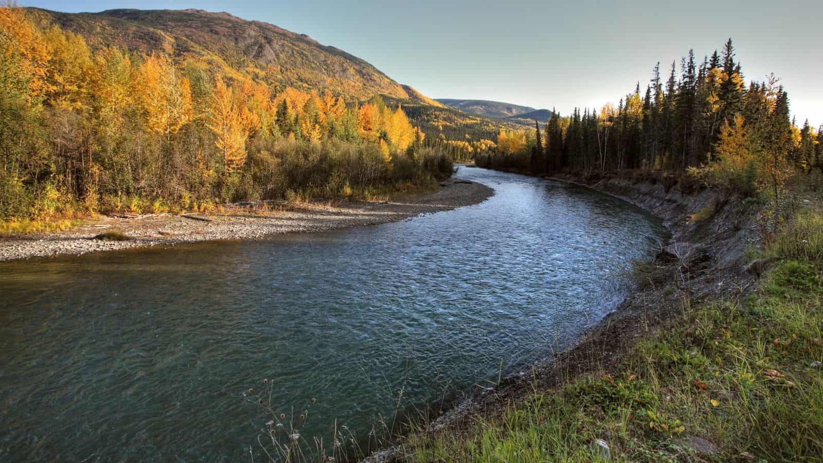 A river curves through a forest with autumn foliage and mountains in the background under a clear sky.
