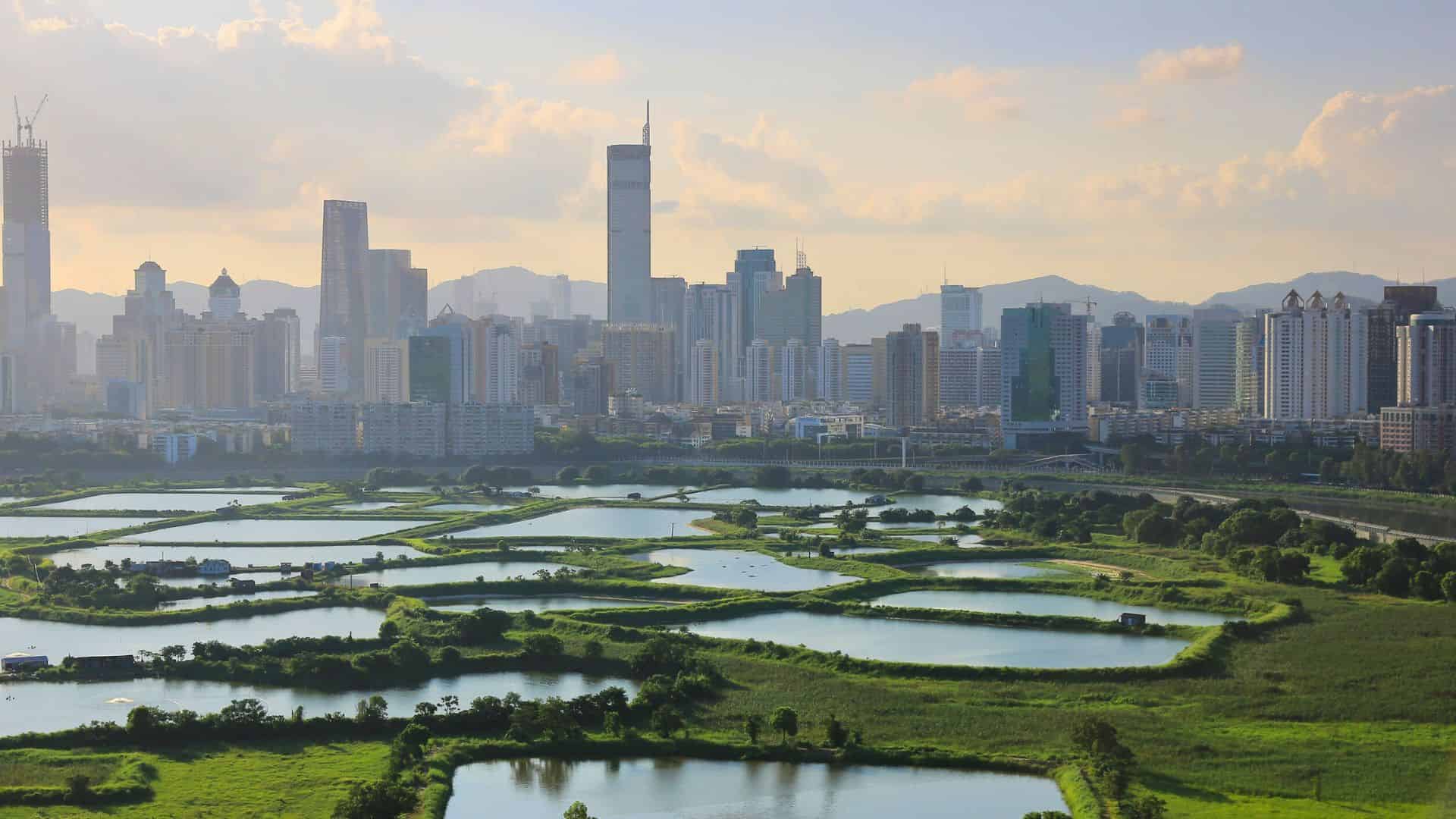 Urban skyline with tall buildings behind green fields and multiple ponds under a bright, partly cloudy sky.
