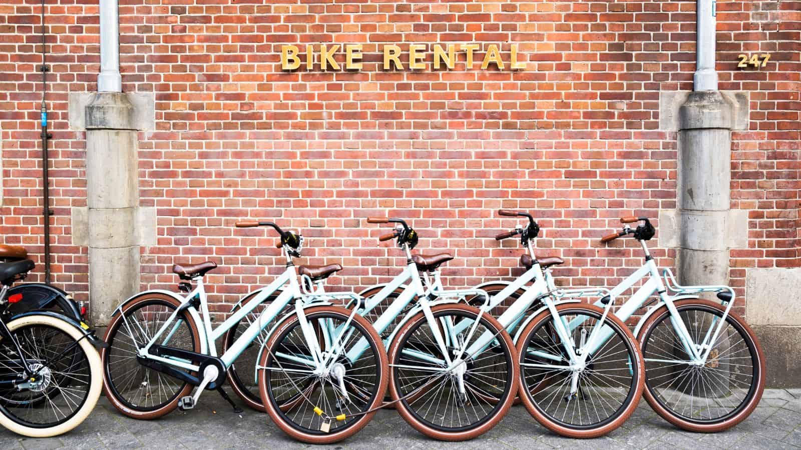Five light blue bicycles lined up in front of a brick wall with a "Bike Rental" sign above them.