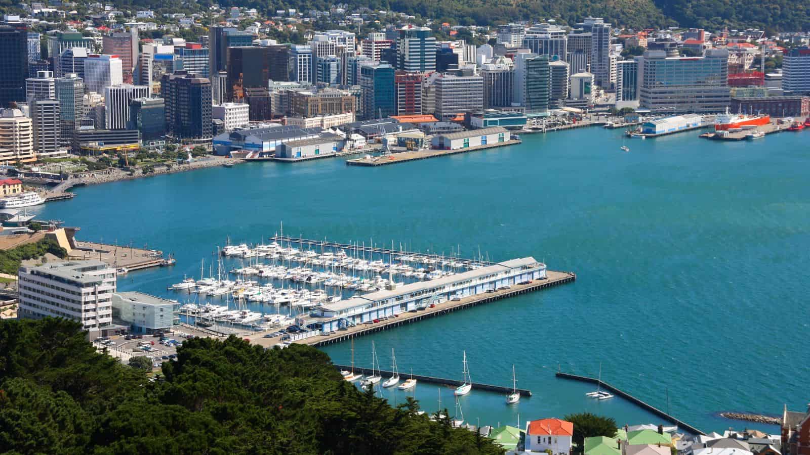 A marina with boats on blue water, with city buildings and green hills in the background.
