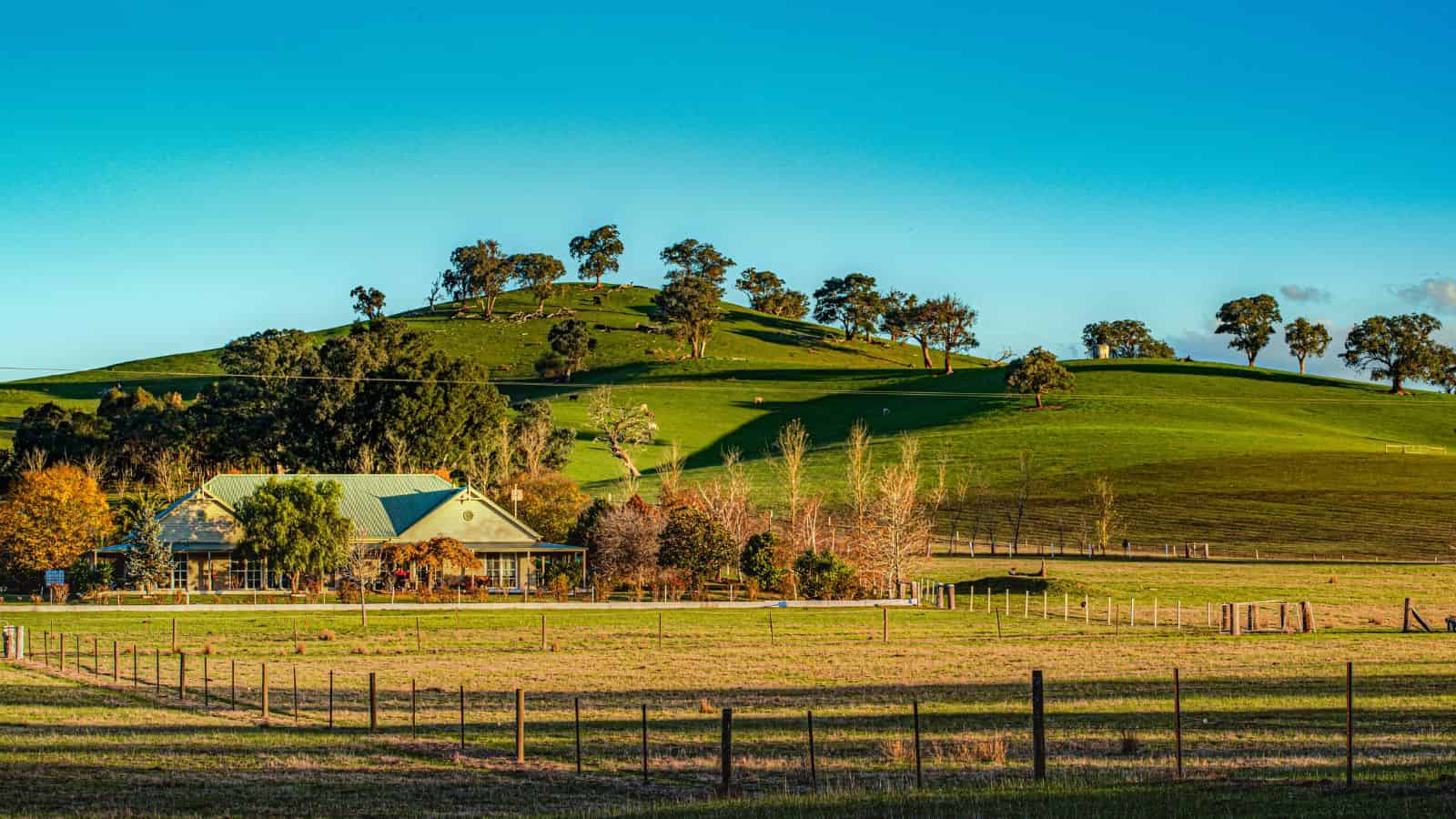 A farmhouse surrounded by fields and trees with a green hill and clear blue sky in the background.
