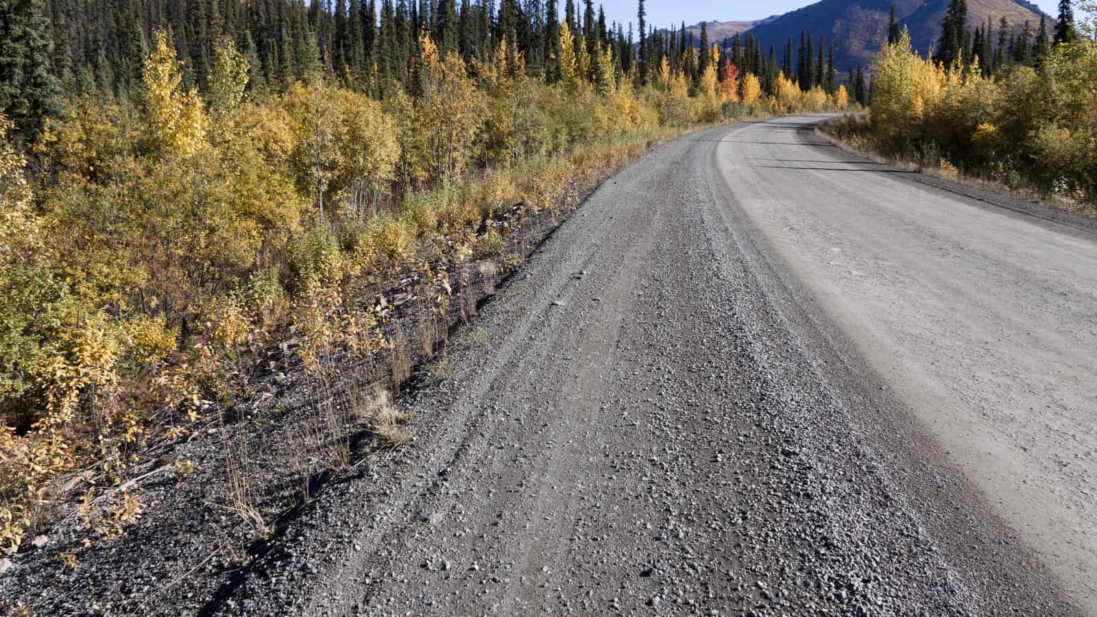 A gravel road curves through a forest with autumn foliage and distant mountains.