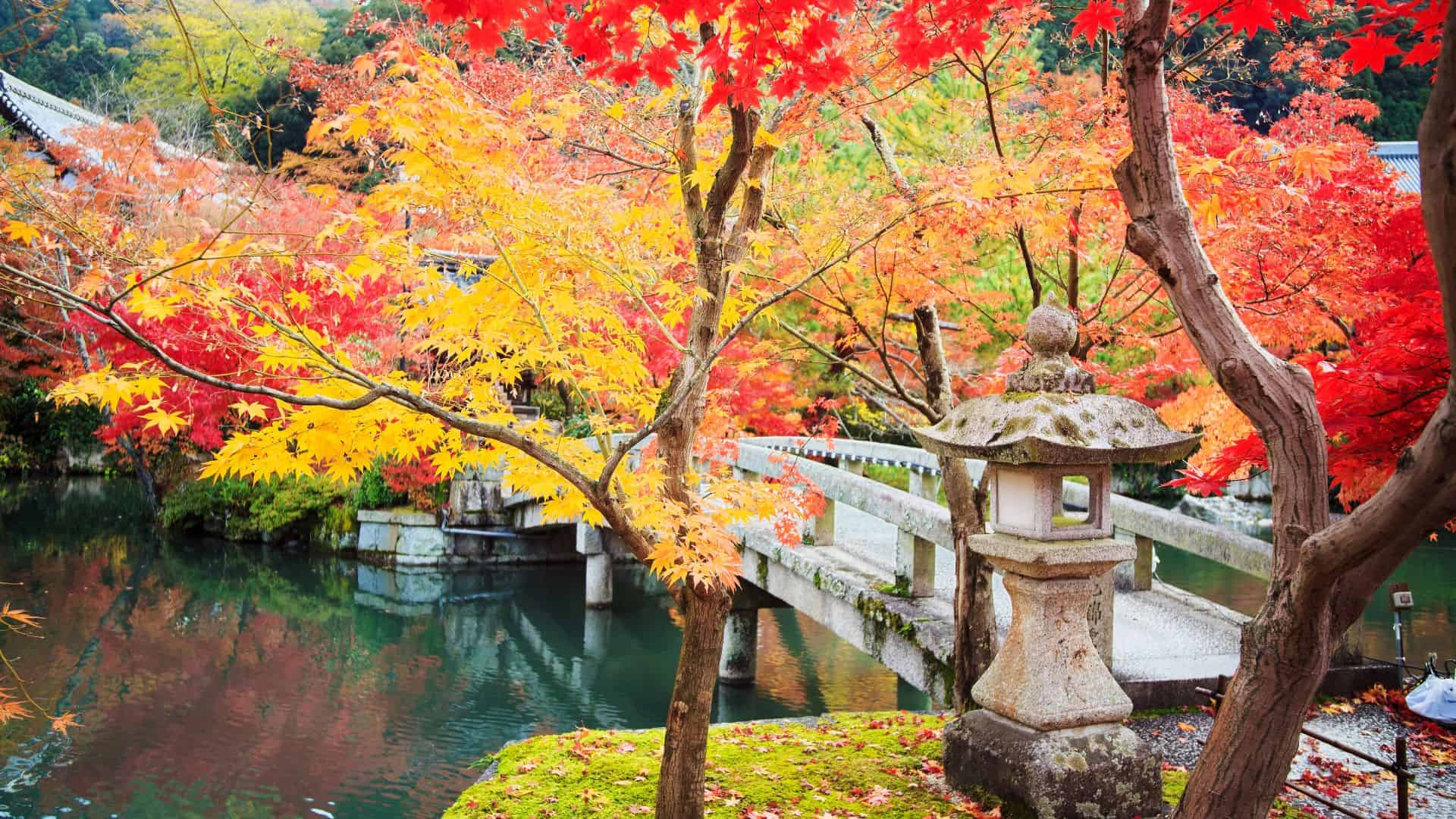 Stone lantern and vibrant autumn trees by a pond with a stone bridge in a Japanese garden.