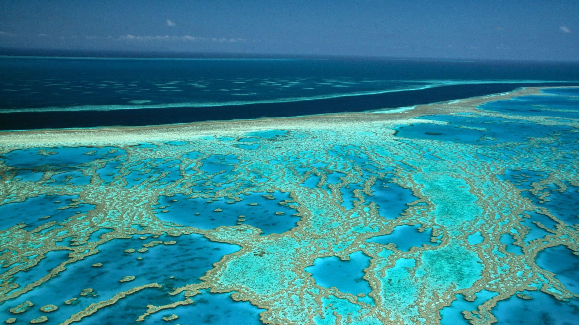 Aerial view of vibrant blue coral reefs and clear ocean water under a bright sky.